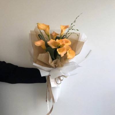 咪乐官网下载截图